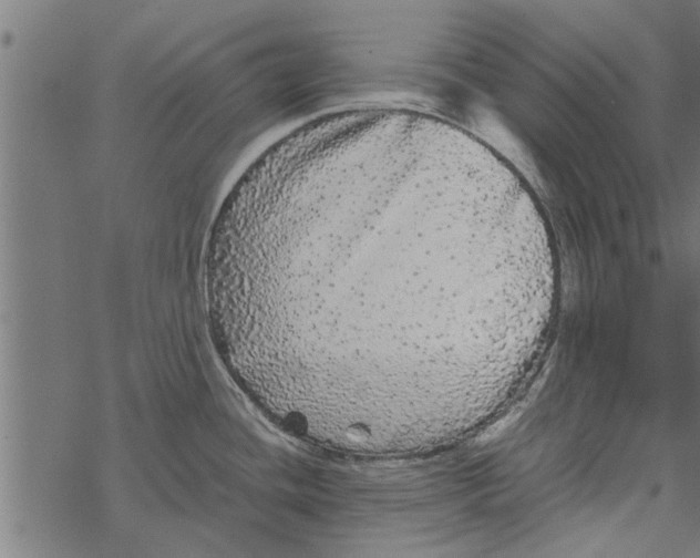 X0000067911436200605041632