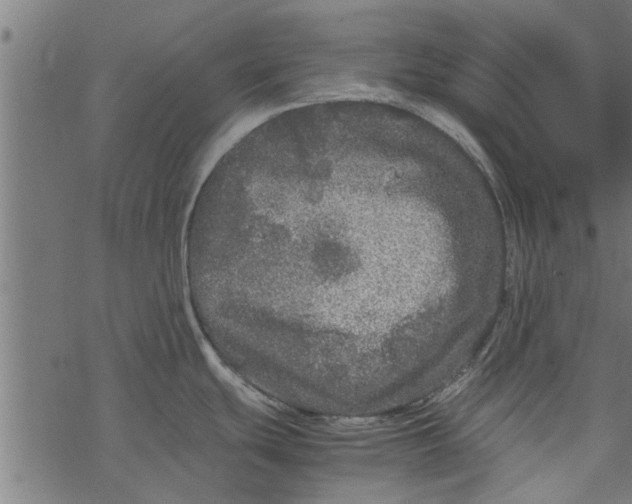 X0000067911439200605041632