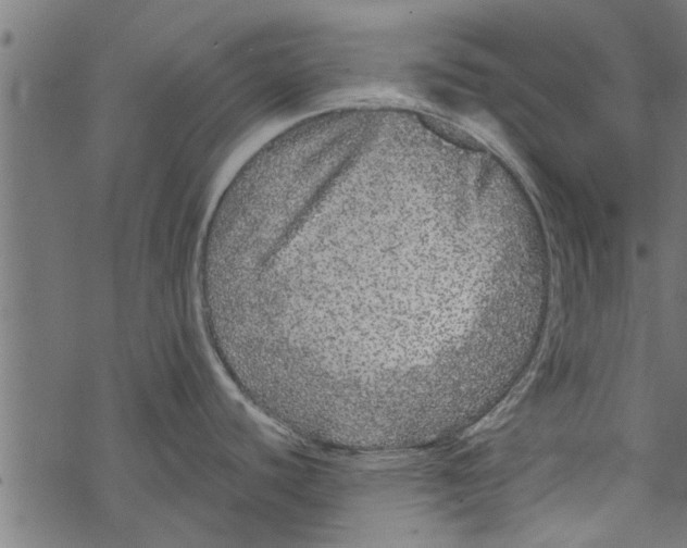 X0000067911440200605041632