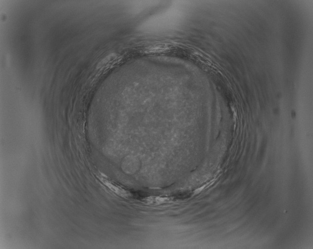 X0000067911441200605041631