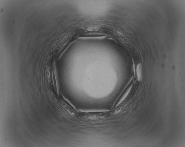 X0000067911443200605041631