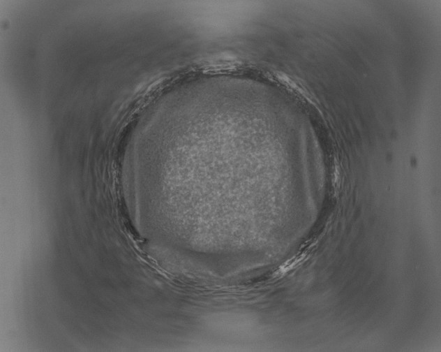 X0000067911445200605041631