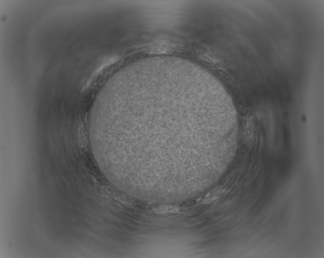 X0000067911446200605041631