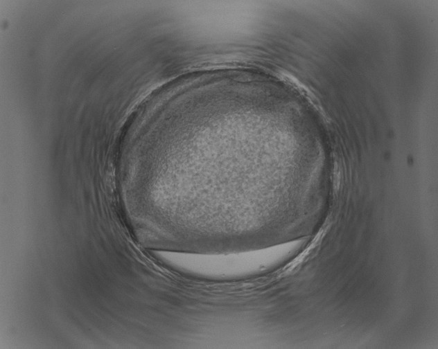 X0000067911449200605041631