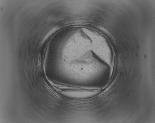 X0000067911450200605041631