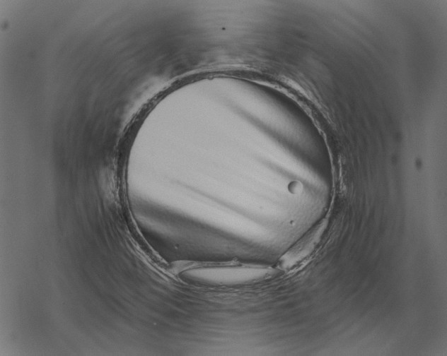 X0000067911452200605041631