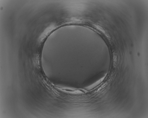 X0000067911455200605041631