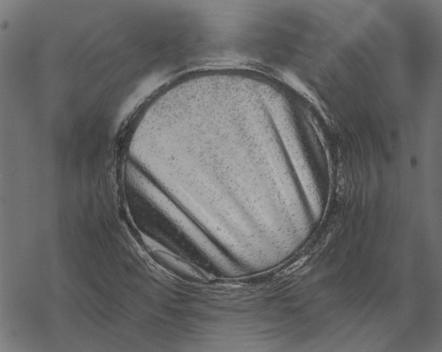 X0000067911456200605041631