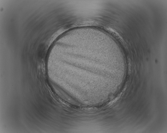 X0000067911457200605041631