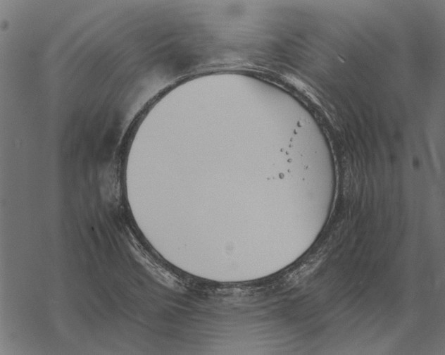 X0000067911458200605041631