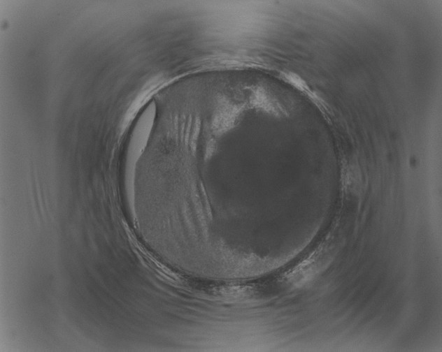 X0000067911459200605041631