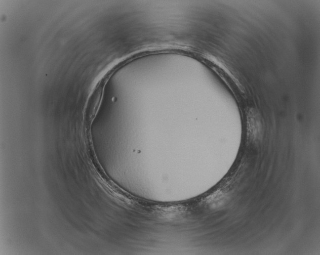 X0000067911460200605041631