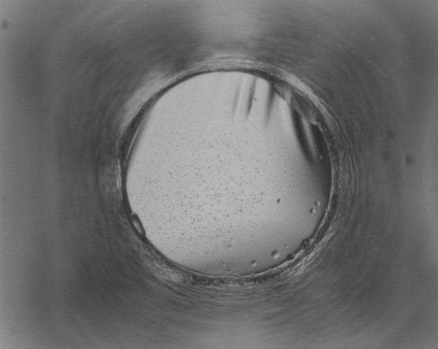 X0000067911461200605041631