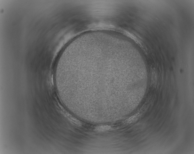 X0000067911462200605041631