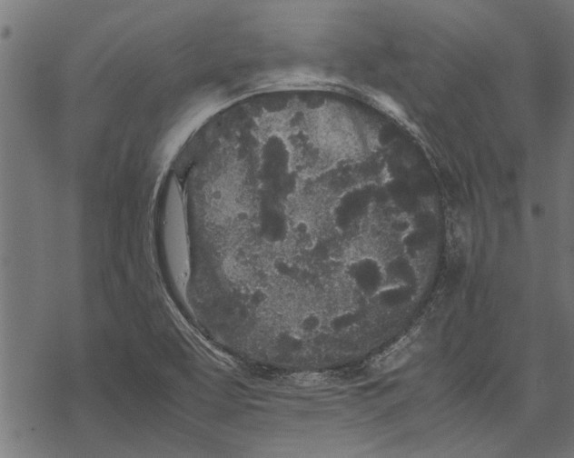 X0000067911463200605041631