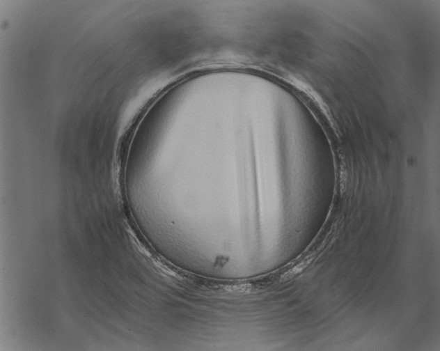 X0000067911464200605041631