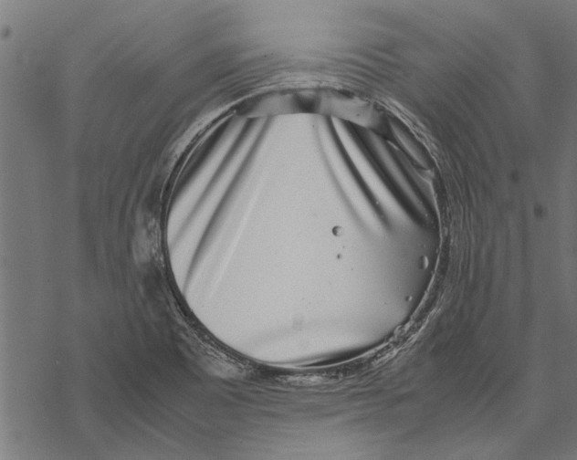 X0000067911465200605041631