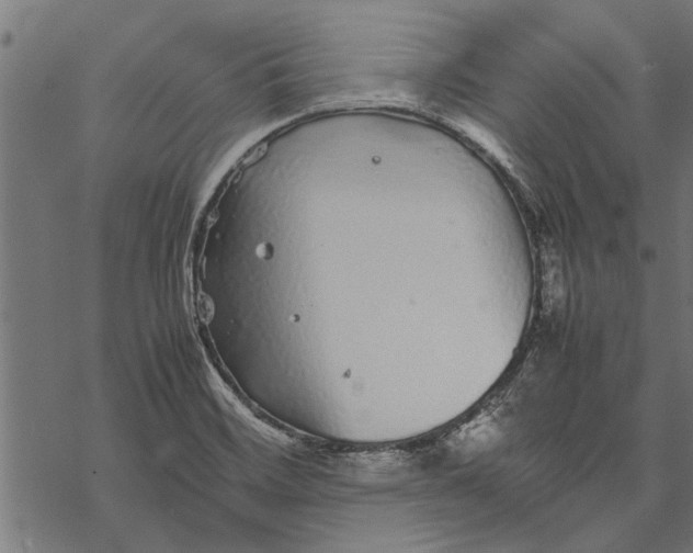 X0000067911468200605041631