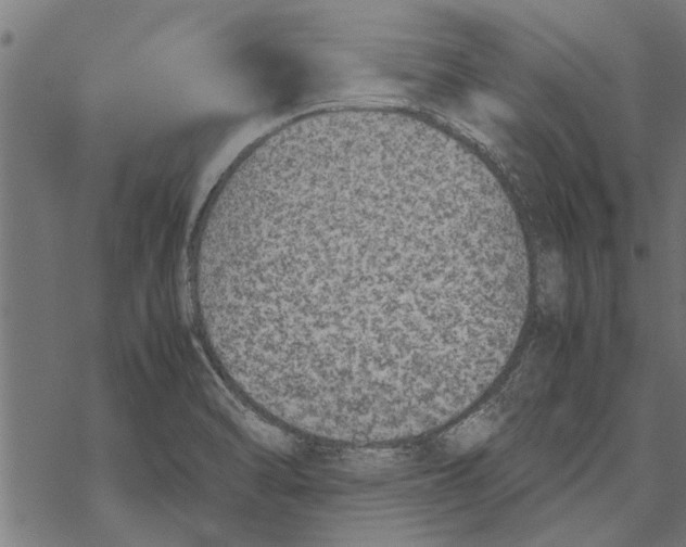 X0000067911470200605041631