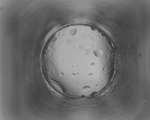 X0000067911471200605041631