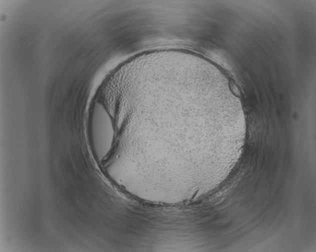 X0000067911472200605041631