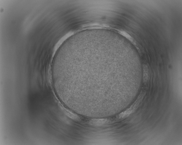 X0000067911474200605041631