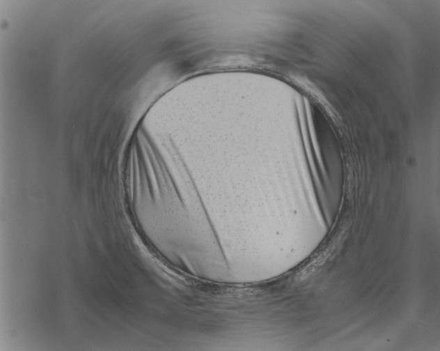 X0000067911475200605041631