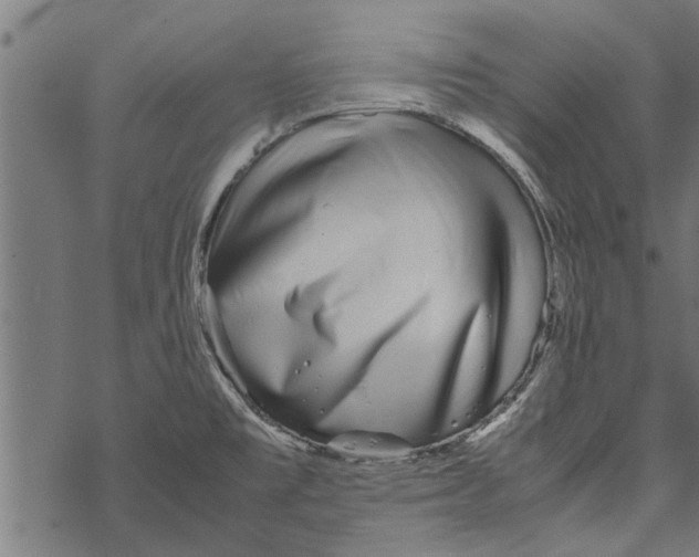 X0000067911477200605041631