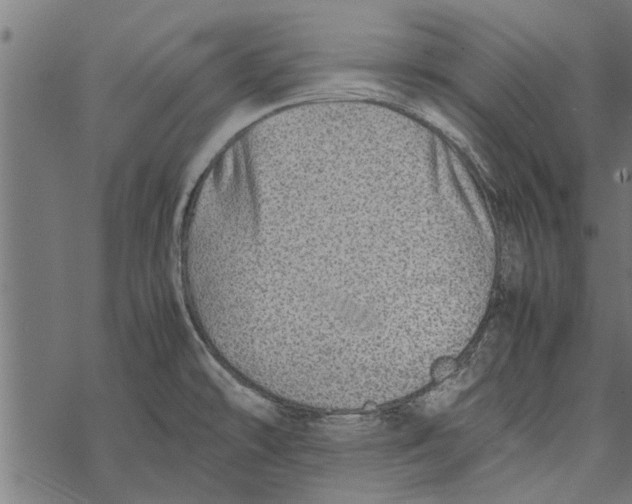 X0000067911478200605041630