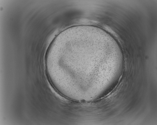 X0000067911479200605041630