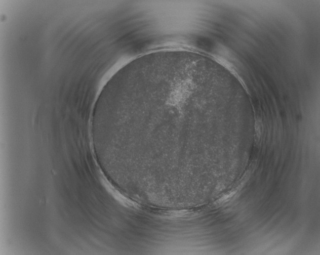 X0000067911482200605041630