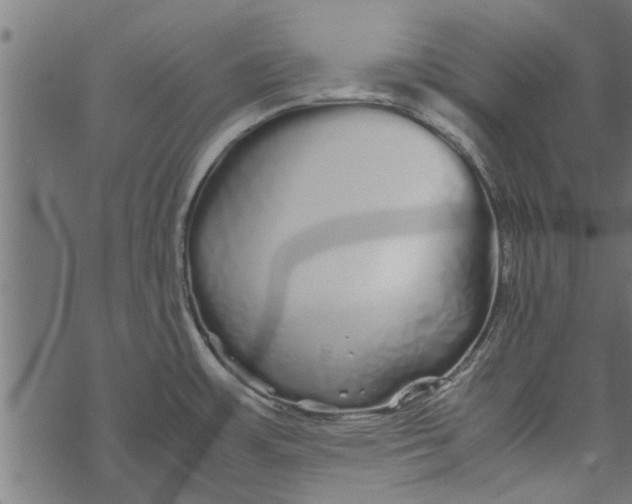 X0000067911483200605041630