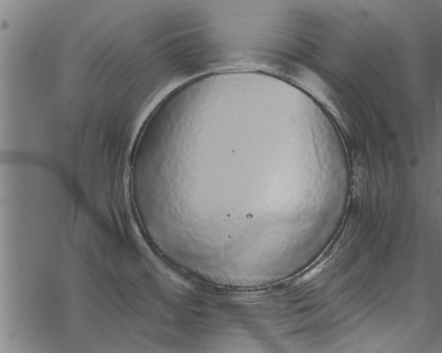 X0000067911484200605041630