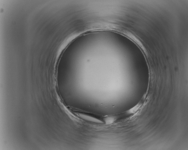 X0000067911485200605041630