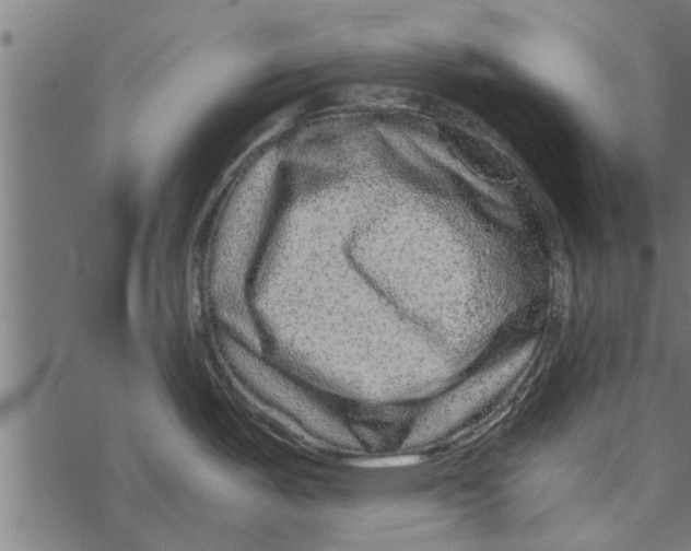 X0000067911487200605041630