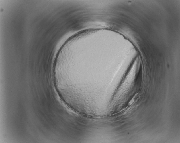 X0000067911488200605041630