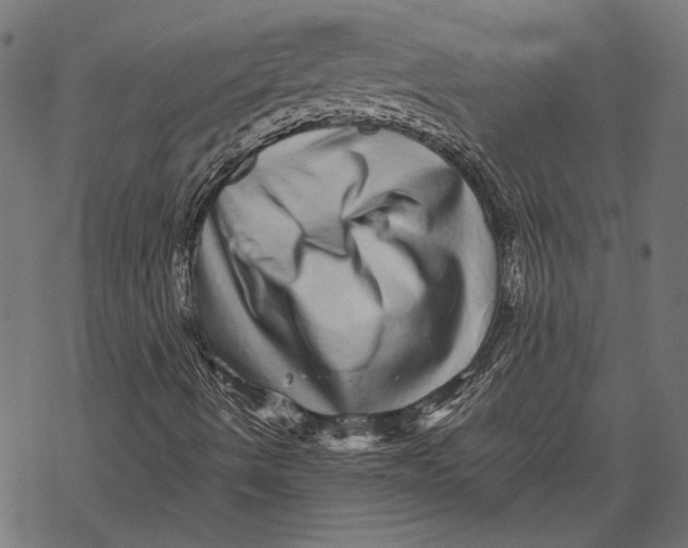 X0000067911490200605041630