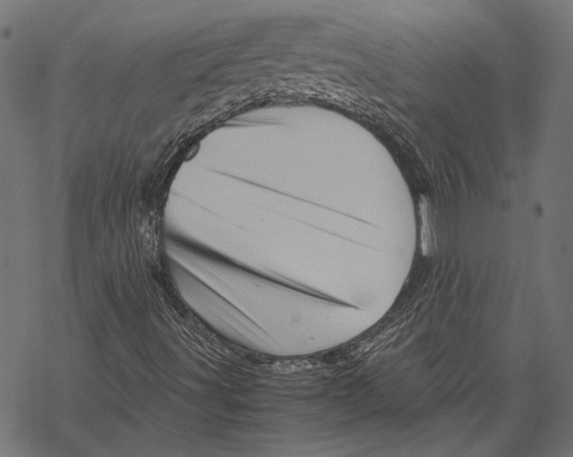 X0000067911491200605041630