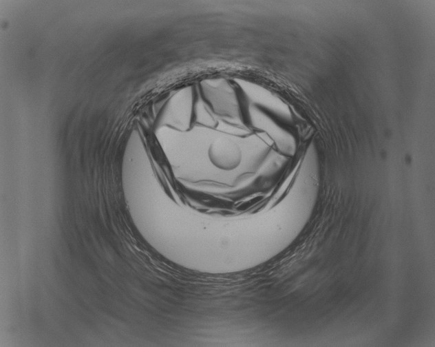 X0000067911492200605041630