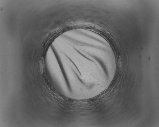 X0000067911493200605041630