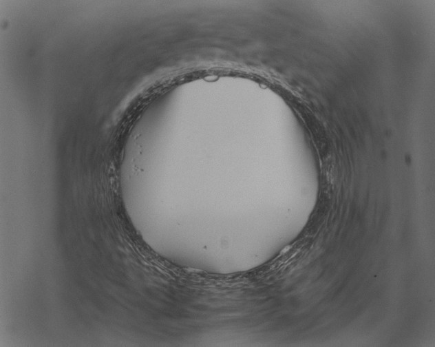 X0000067911495200605041630