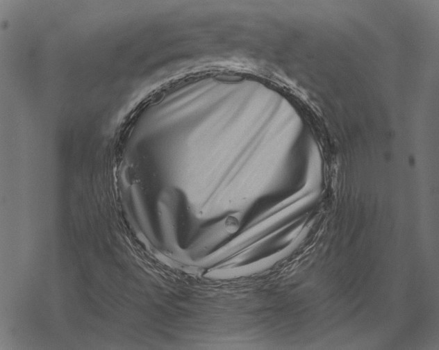 X0000067911496200605041630