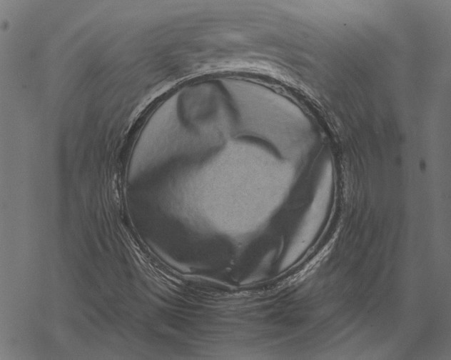 X0000067911497200605041630