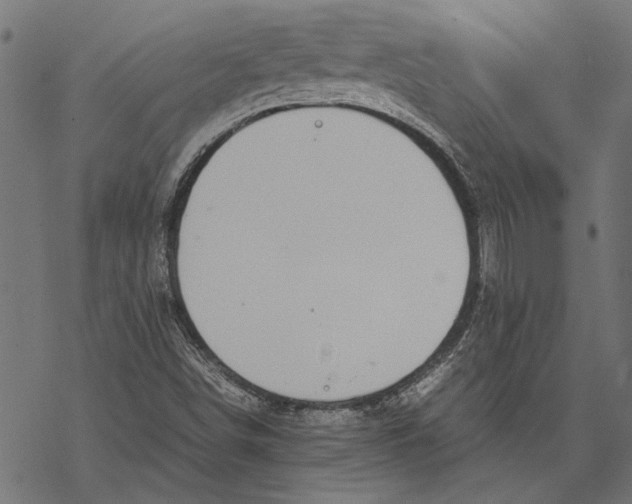 X0000067911498200605041630