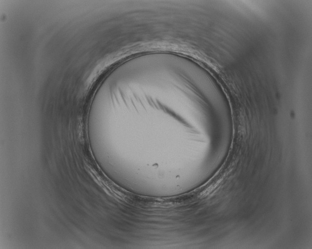 X0000067911499200605041630