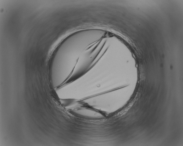 X0000067911502200605041630