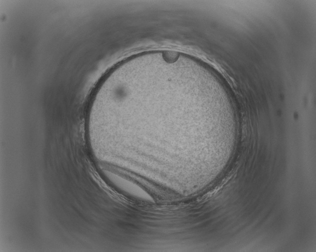 X0000067911503200605041630