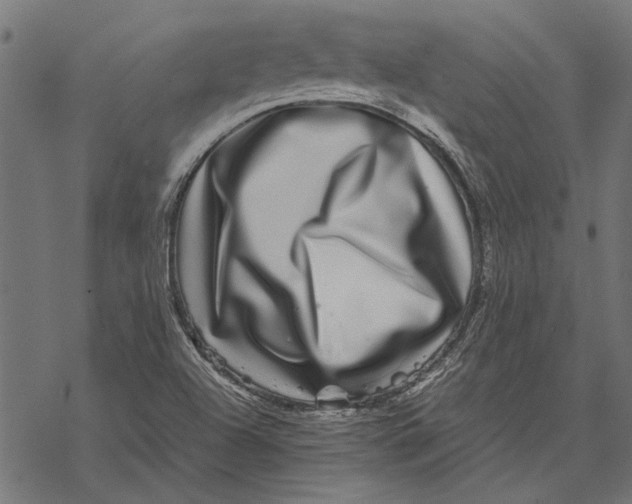 X0000067911504200605041630