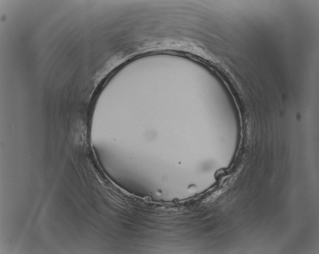 X0000067911505200605041630