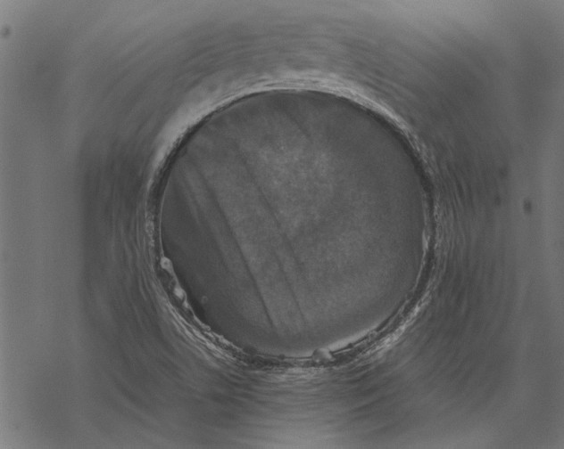 X0000067911506200605041630